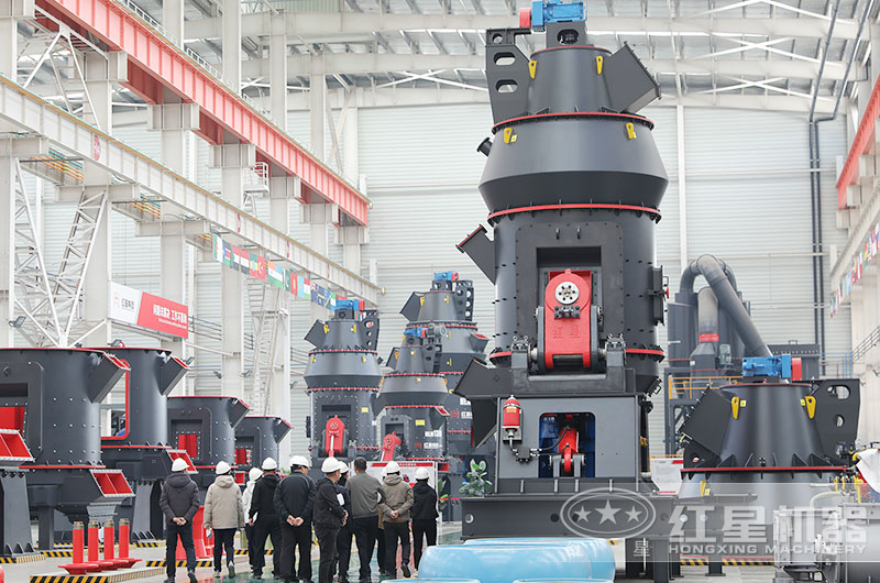 客户来厂考察雷蒙磨粉机设备 客户来厂考察雷蒙磨粉机设备